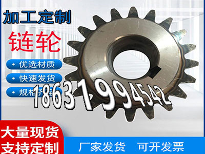 2.5模数质量可靠非标齿轮怎么做传动齿轮如何实用斗式提升机链轮源头厂家3模数保养工程车齿轮批发厂家